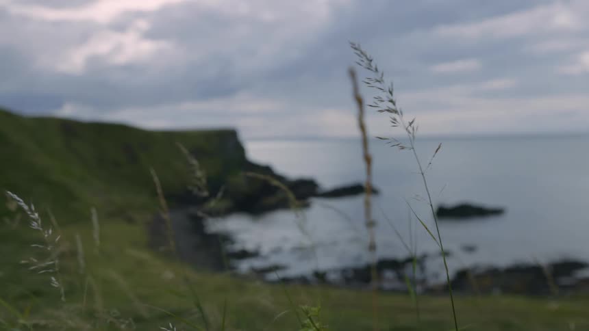 A rocky bay with a peaceful sea and grass and weeds gently waving in the wind