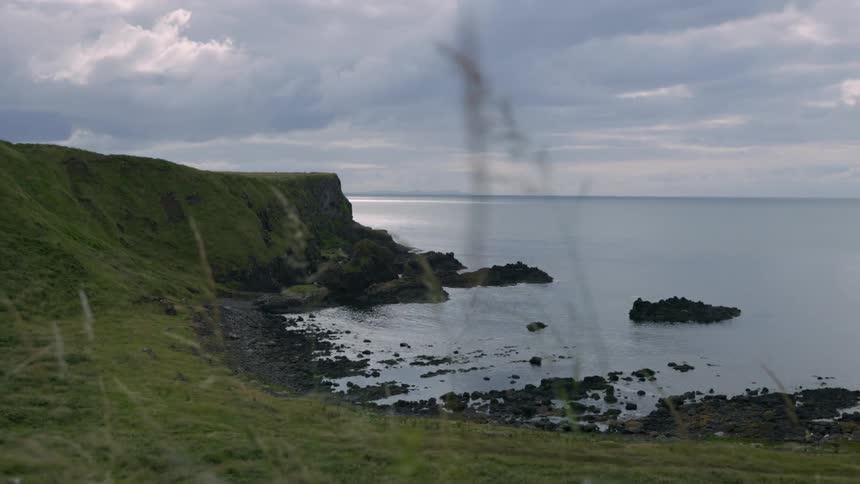 Reeds of grass swaying in the wind with the ocean meeting a rocky shoreline covered in grass and hills