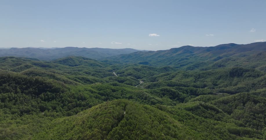 A view of a dense green forest with mountains of trees