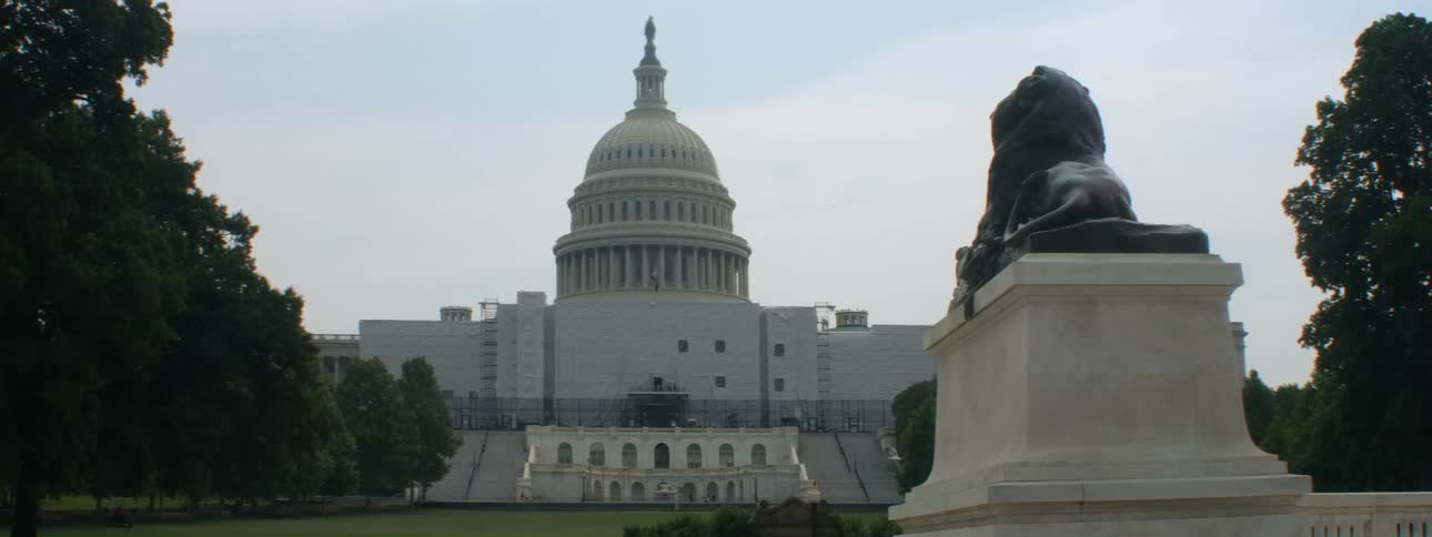 The capitol building in washington dc with trees lining the courtyard on a bright day