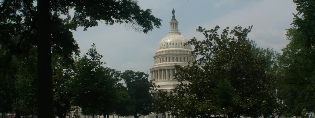 Trees are in front of the monument