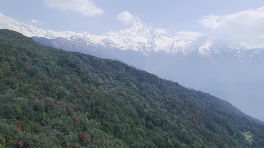 Aerial of a forest and mountains on a cloudy day