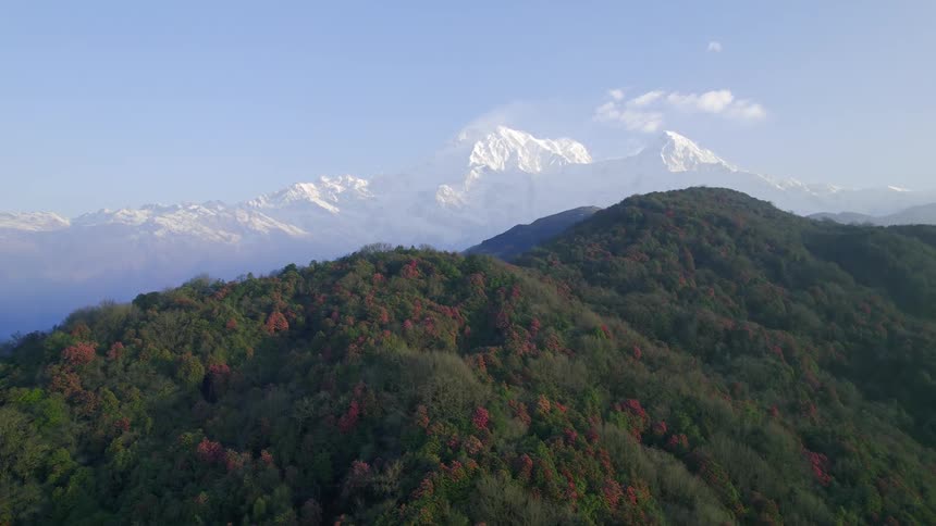An aerial view of a wooden mountain and a winter mountain in the background