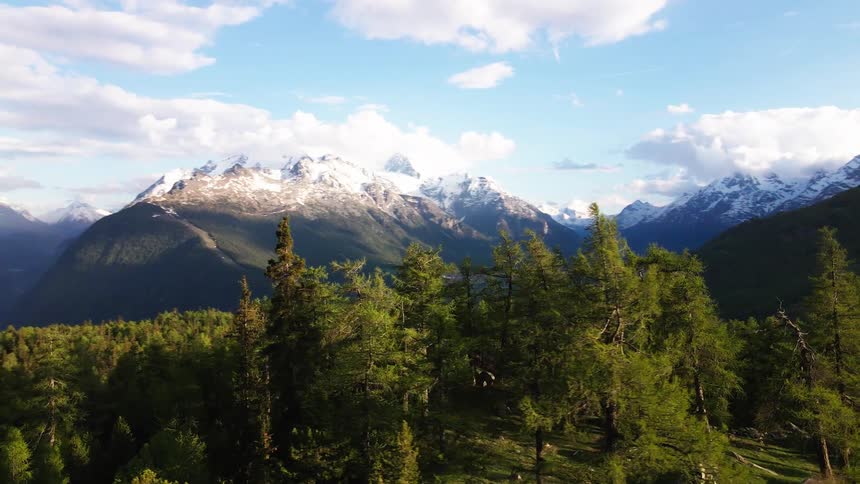Aerial view of evergreen forest and distant mountain range