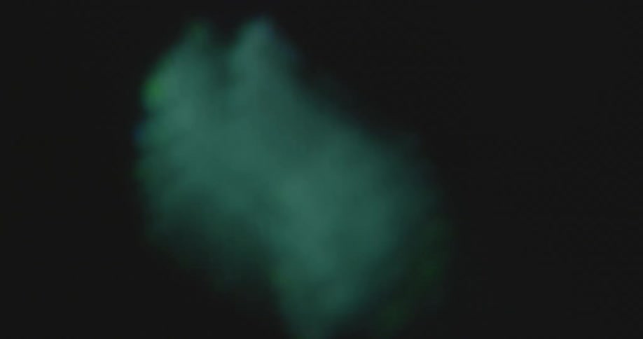 Green pixelated matrix style binary ones and zeros in the shape of the letters AI are changing on a black computer screen as symbol for the innovative information technology and computer programming or coding