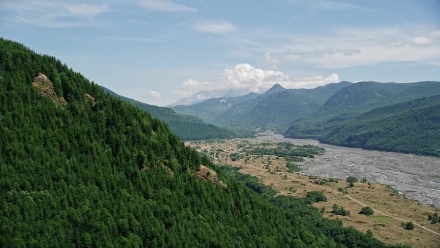 Aerial view of the North Fork Toutle River flowing through timberland towards Mount St Helens in Washington during a sunny summer day
