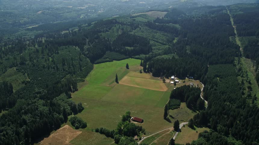 A sunny day view of farmland and farm fields in Amboy Washington captured from an aerial perspective during summer