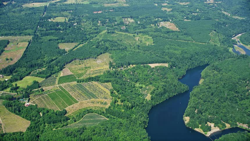 Aerial view of farmland fields and Mayfield Lake with a river flowing through it during summertime in Washington