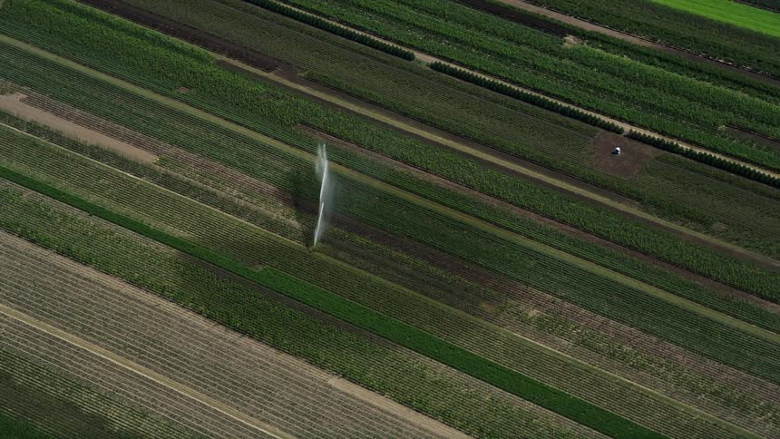 Aerial view of a crop field being watered by a sprinkler in Riverview Oregon during the day