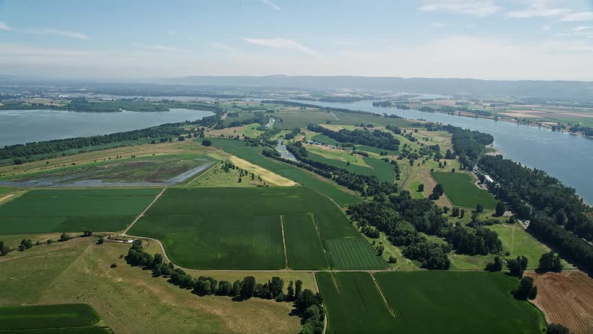 Aerial view of farms and green fields near the Columbia River in Vancouver Washington during a sunny summer day