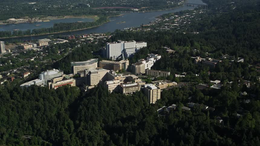 Aerial view of Oregon Health and Science University nestled among lush trees on a hillside in sunny Portland capturing the vibrant campus atmosphere during a summer day