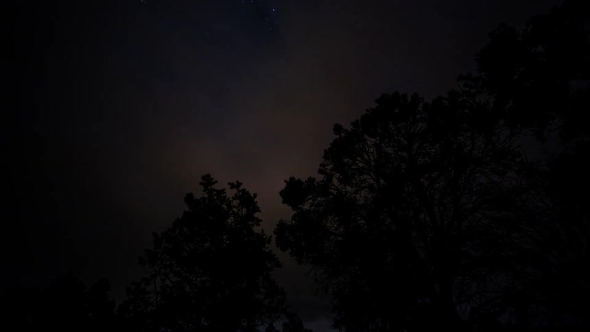 The clouds and stars move above trees at night