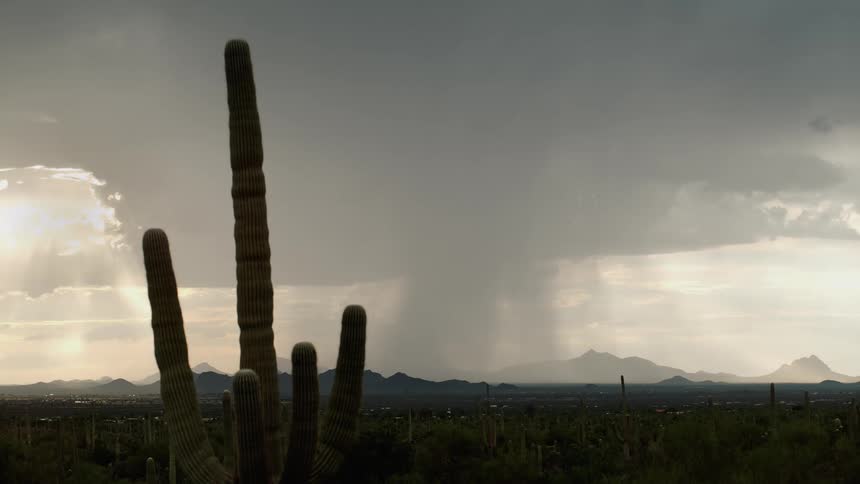 A supercell storm moves across the desert pouring down rain as lightning strikes