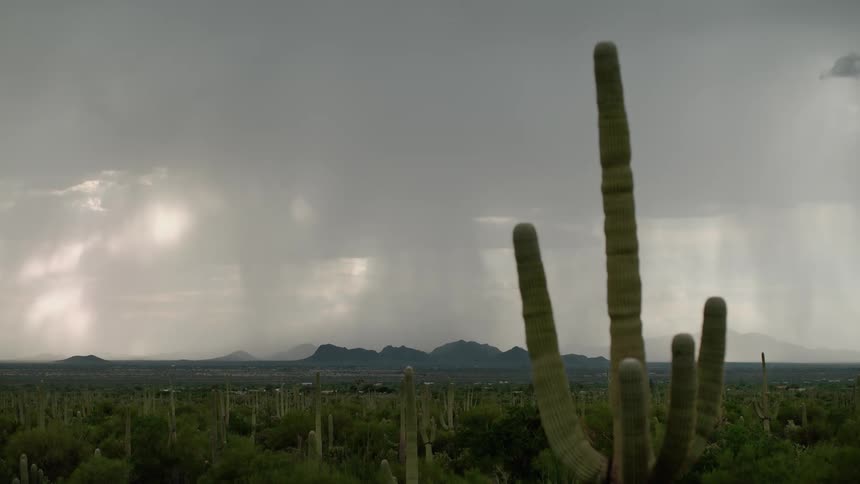Landscape of a grassland and mountains with occasional lightning