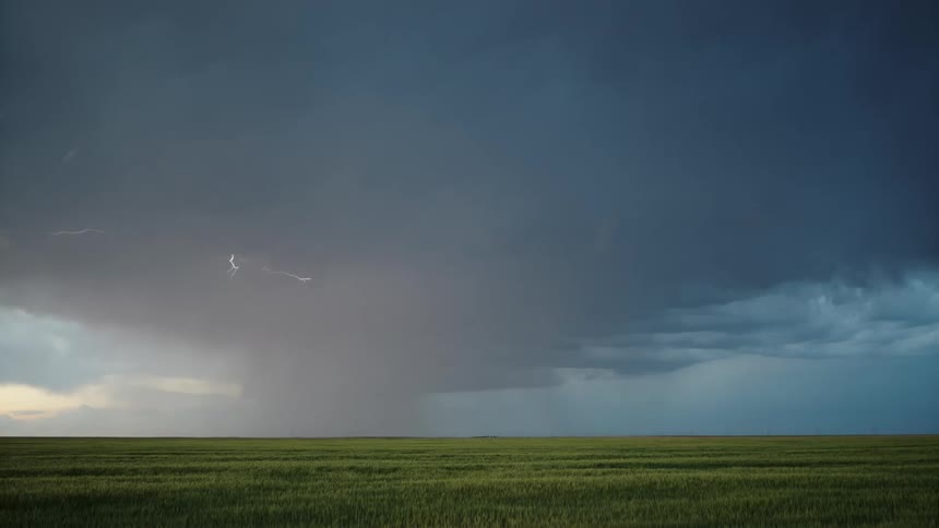 The storm clouds spreads lightning over the field