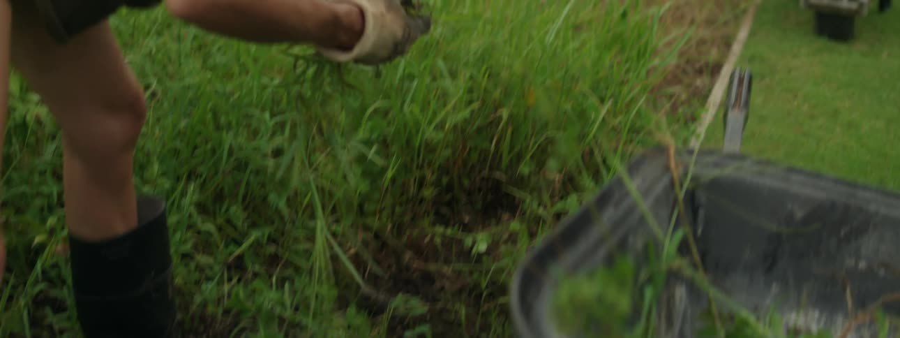 A gardener pulling weeds out of the soil and throwing them into a hand cart