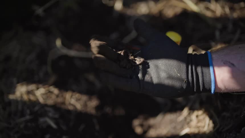 A hand clad in black gloves carefully picks up dirt with a worm while the suns light is blocked causing a shadow to reflect on the hand