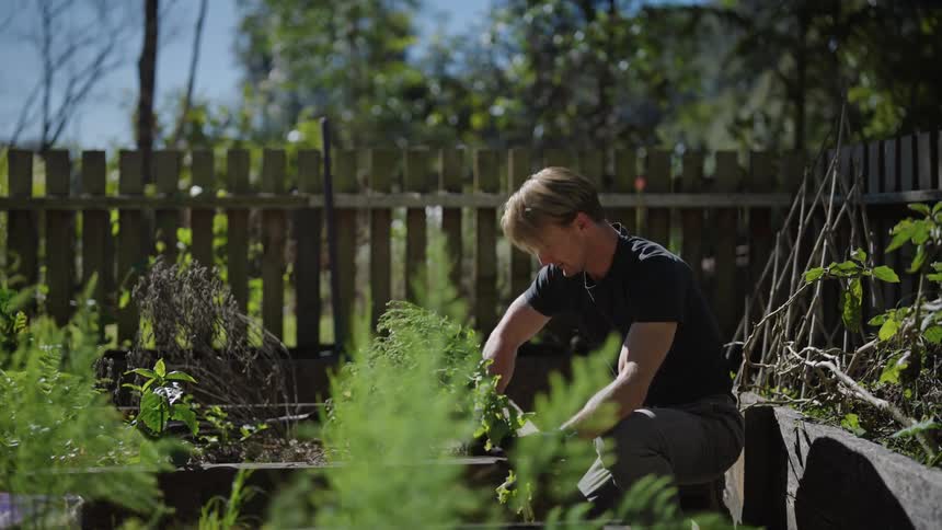 Man planting in the garden during sunny day