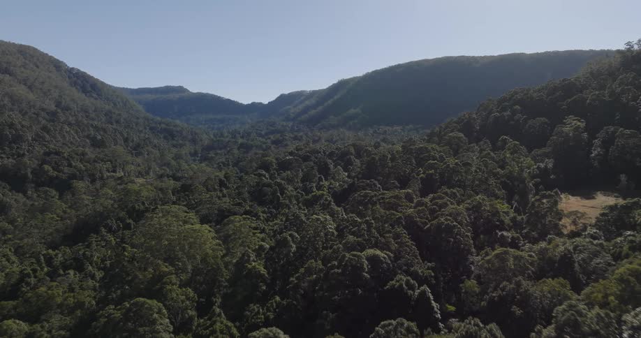 Aerial view of forest surrounded by mountains