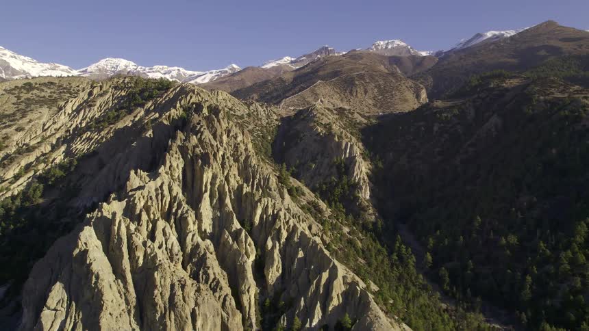 Aerea of mountains with pine trees on a sunny day