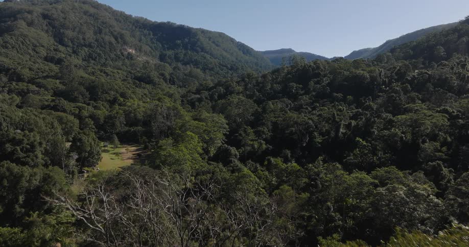 An aerial of a dense forest canopy with lush green trees lining hillsides and hilltops