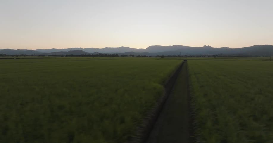 Aerial of a field of crops next to the mountains at evening