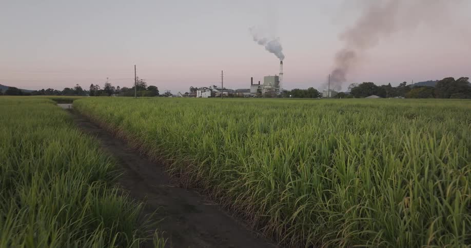 Green field of crops next to a power plant in the horizon