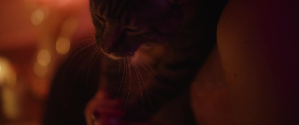 Woman sitting down petting a cat indoors