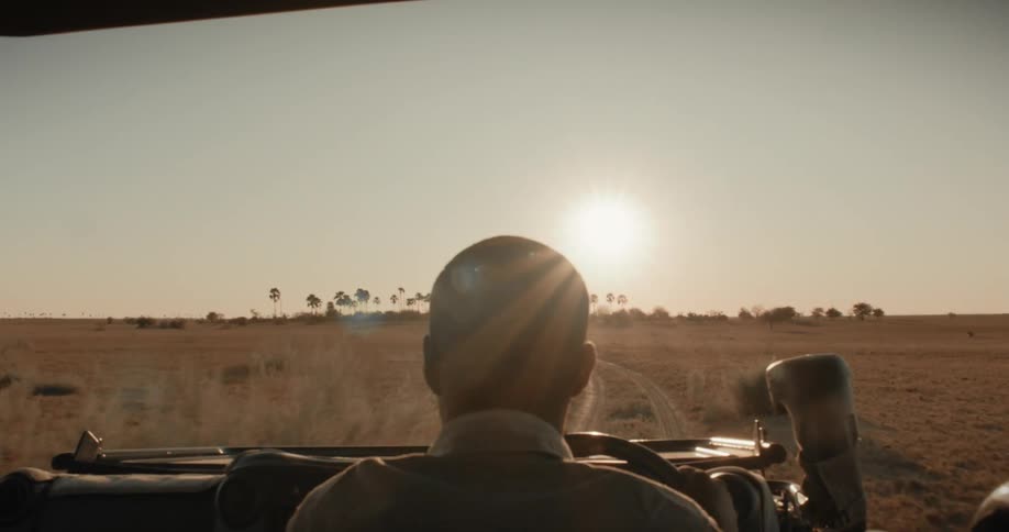 A man is driving through the safari
