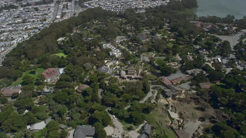 aerial footage of flying by the zoo in Lakeshore San Francisco California showcasing the beautiful suburban area with many trees during a partly cloudy day