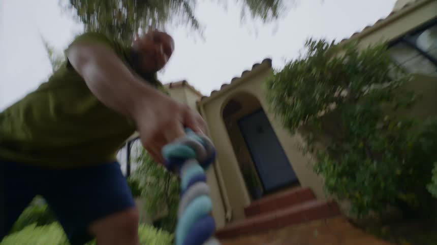 Dog pulls on rope in the backyard