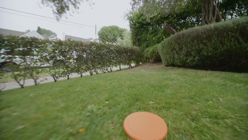 Bald man wearing green shirt and blue shorts plays with dog in the garden