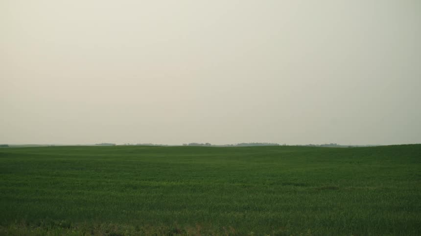 A vast grassland under a cloudy daytime sky