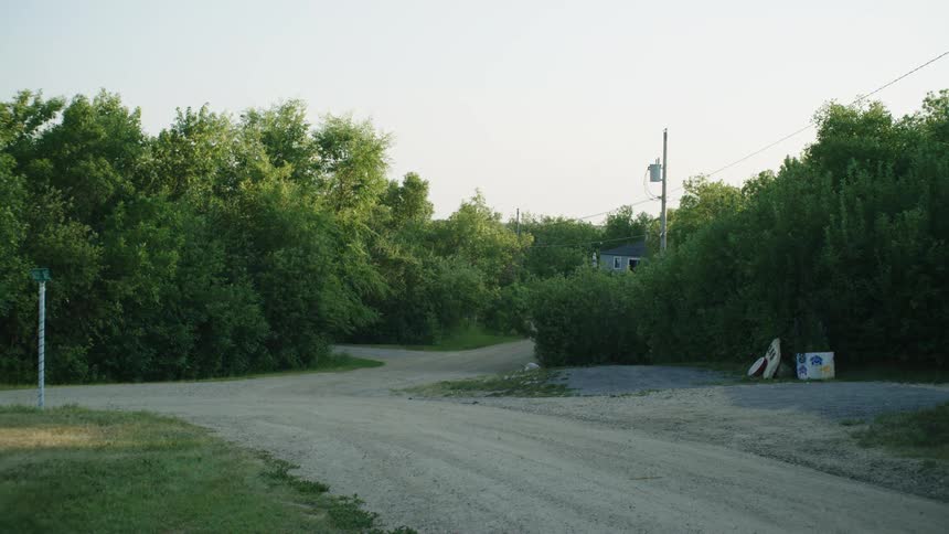 The intersection of paved roads is surrounded by a dense grove of trees