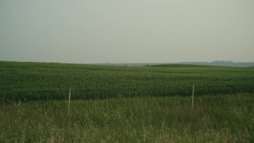 A field with tall grass and cloudy sky