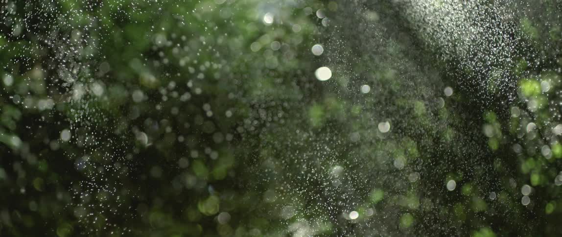 Beams of sunlight illuminate water particles falling in a vibrant forest