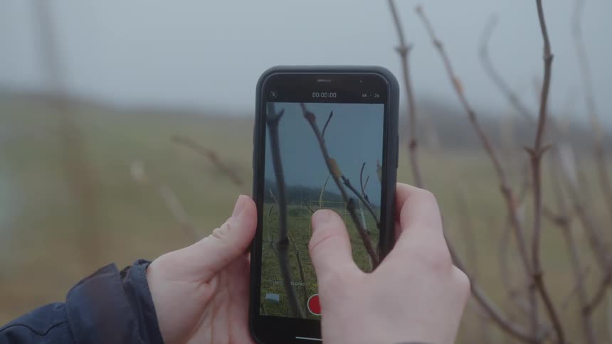 A person takes a picture of branches of a bush on a field with a cell phone