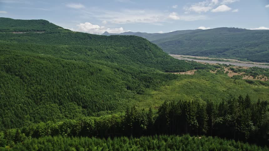 an aerial view of a lush evergreen forest and rolling hills as it approaches the North Fork Toutle River in Washington