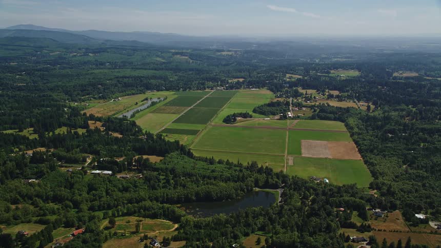 Aerial footage of farm fields surrounded by trees in La Center Washington during a sunny day