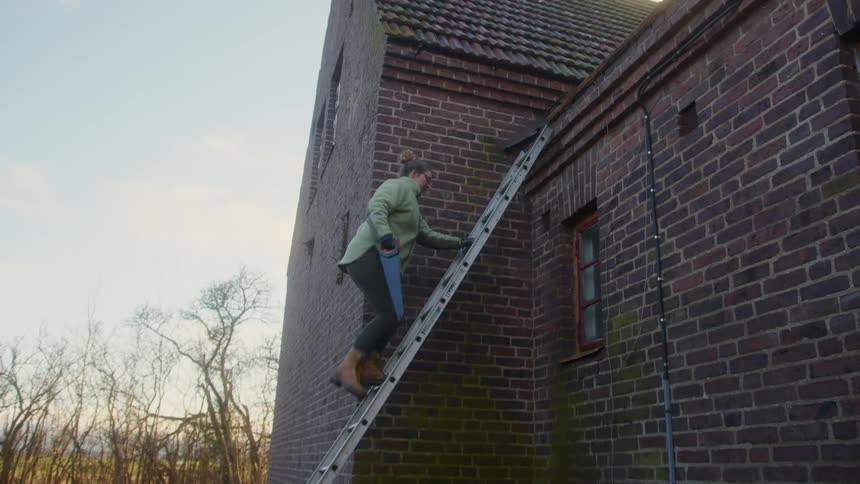Woman climbing an aluminum ladder with a saw in her hand