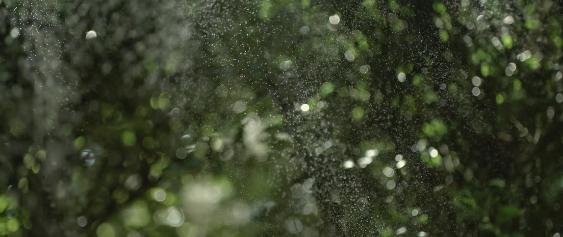 Rain falling in slow motion in a sunny forest