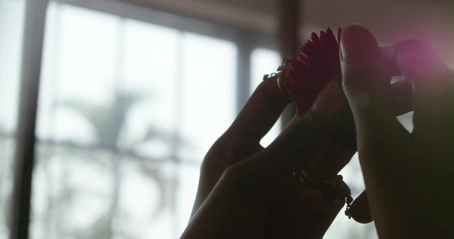 Female hands holding and fondling a flower