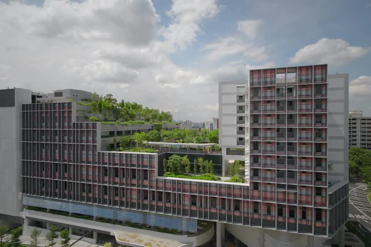 A timelapse of a building being constructed using the help of cranes and when ready trees grow on top of the building