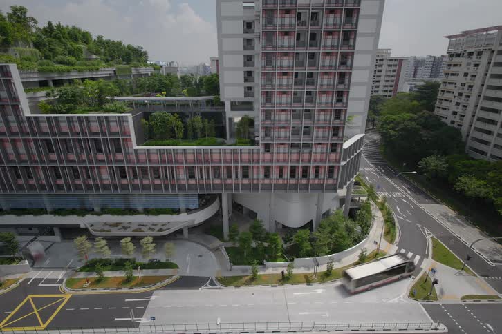The front of a building underwent construction as trees and plants were planted on it with cars passing