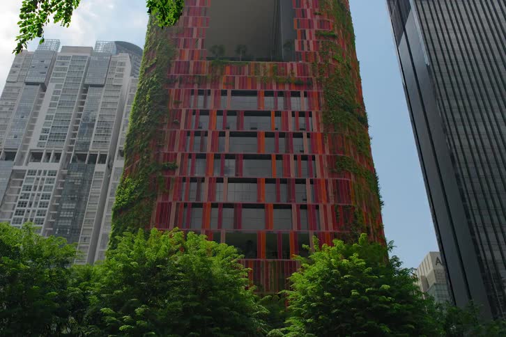High rise building slowly covered in plants and trees as the day goes by