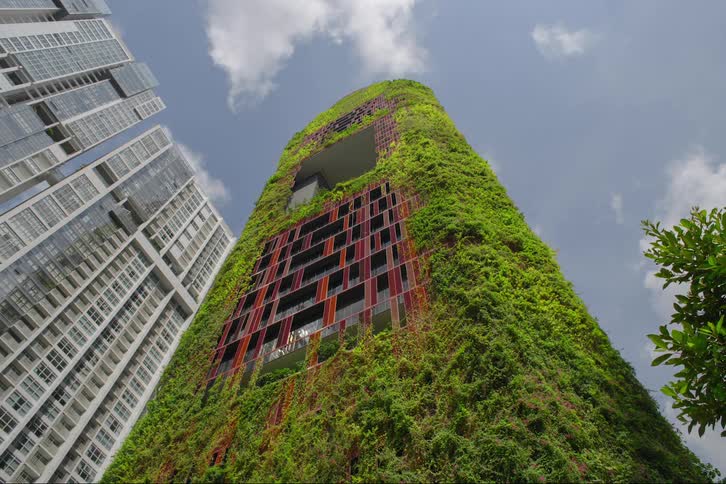 A huge building being covered by rupicolous lush plants and green leaves
