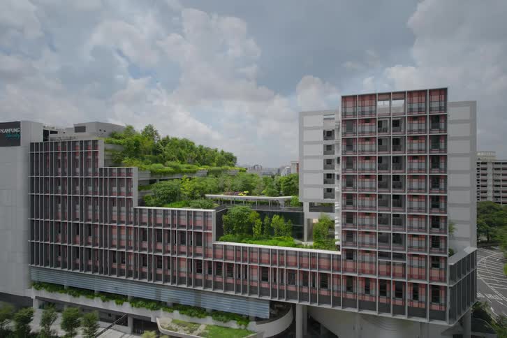 Timelapse of a building in construction with plants growing