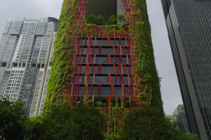 Over time plants and creepers growing over a highrise building gradually covering its walls and climbing up the structure