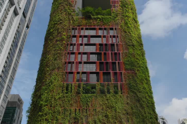 A timelapse shot of creeper plants covering a tall red city building