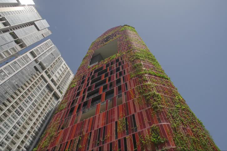 Green plants growing on the geometric window facade of a modern city apartment building